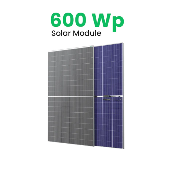 Loom SHARK 600 Wp HJT Dual-Glass Solar Panel (Pack of 31)