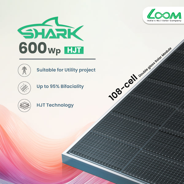Loom SHARK 600 Wp HJT Dual-Glass Solar Panel (Pack of 31)